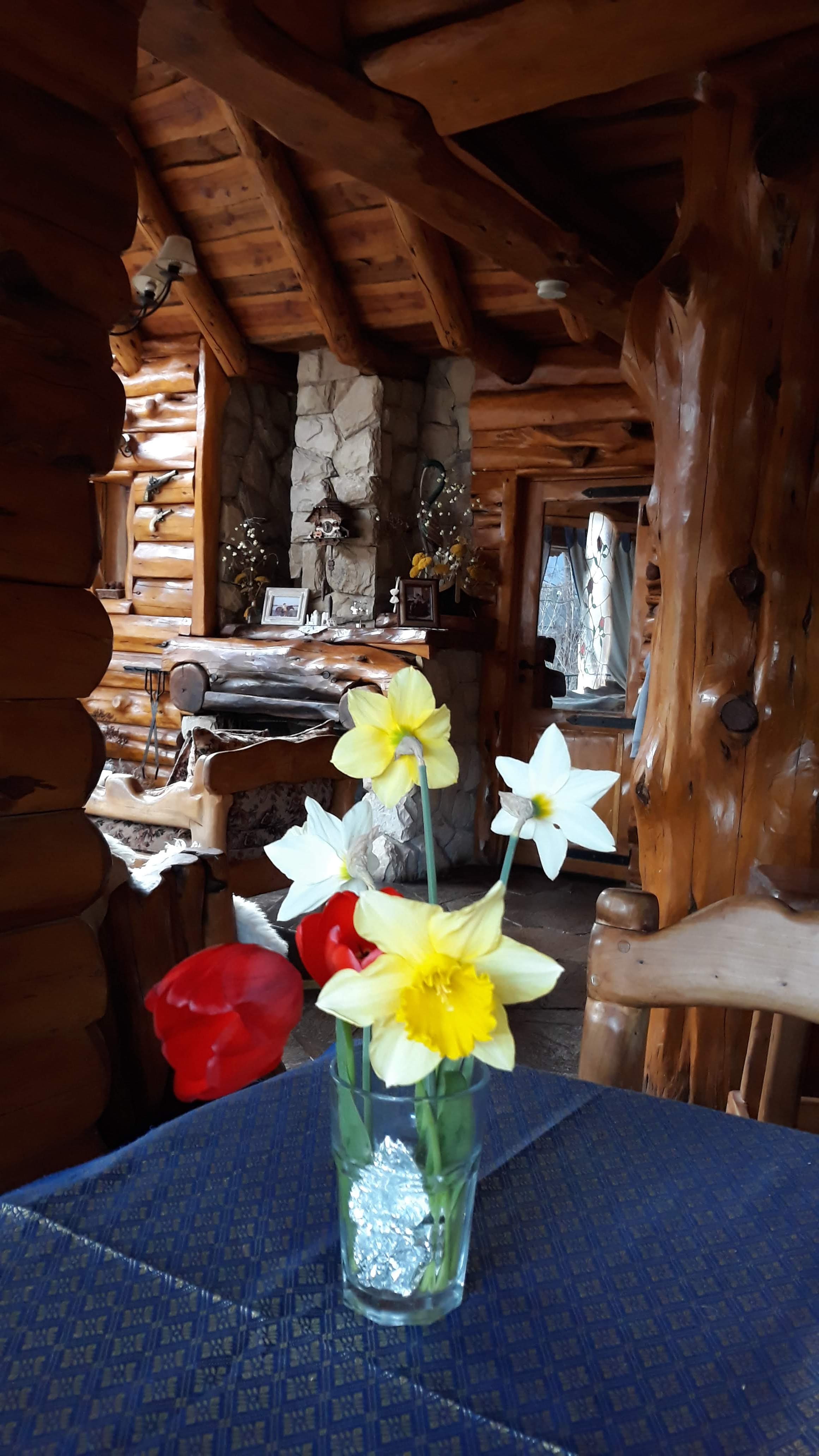 Interior de troncos con hogar a leña